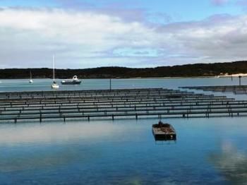 Longbeach Apartments Coffin Bay Exteriör bild